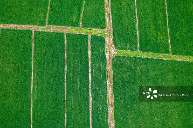 良渚古城遗址公园图片素材