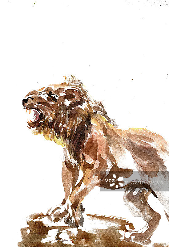 威武的雄狮图片素材