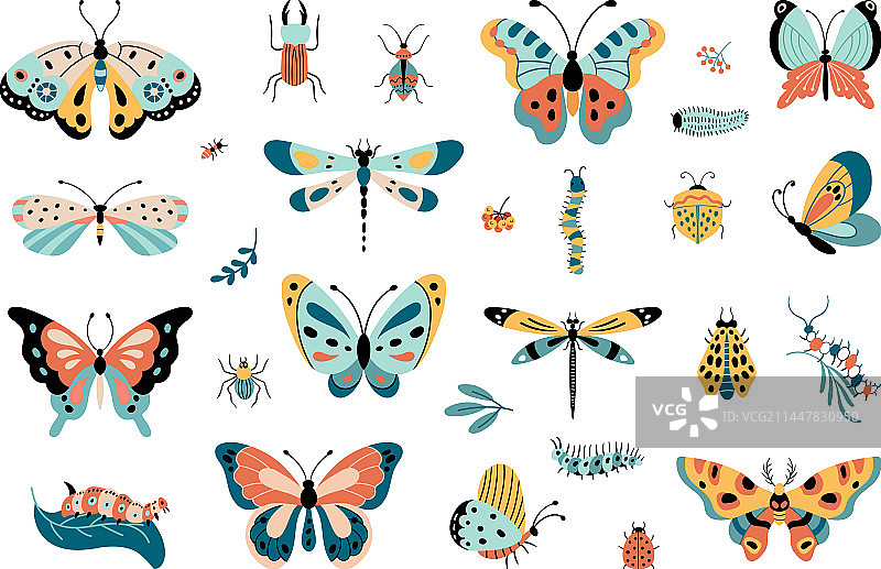 孤立的昆虫蝴蝶和毛毛虫图片素材