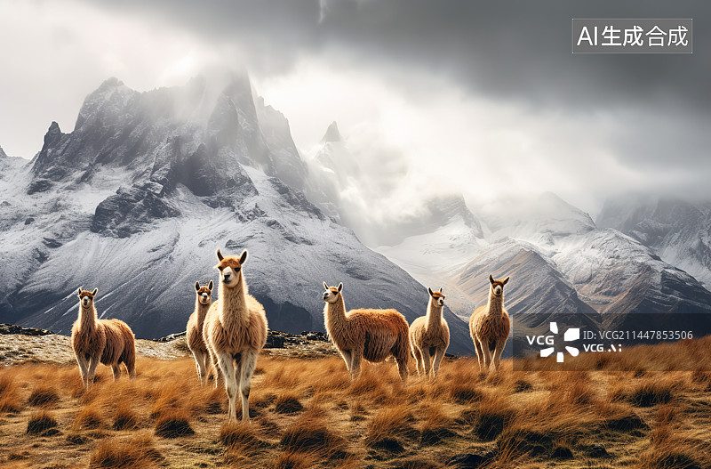 【AI数字艺术】雪山下的骆驼图片素材