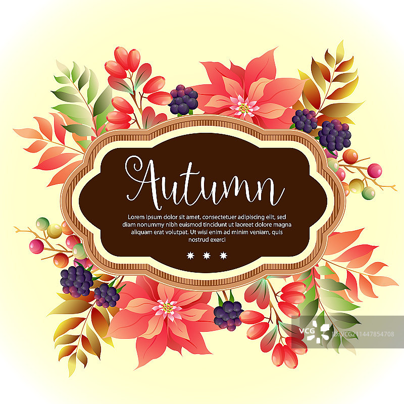 花园植物模板秋季一品红图片素材