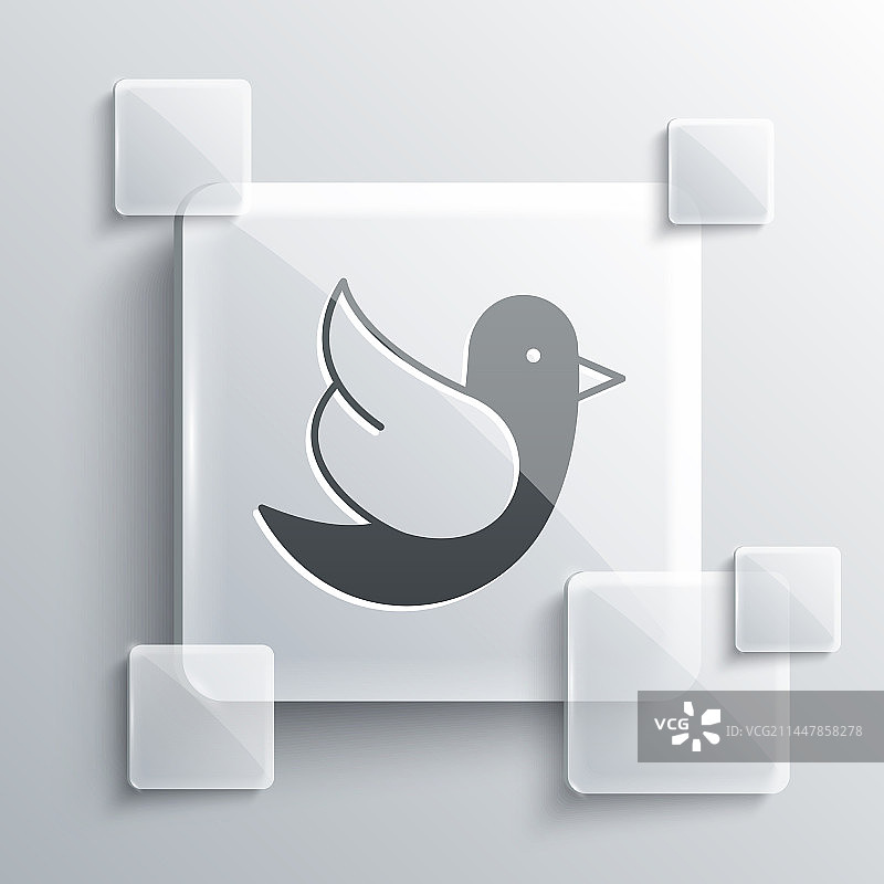 灰色鸽子图标，灰色背景方形图片素材