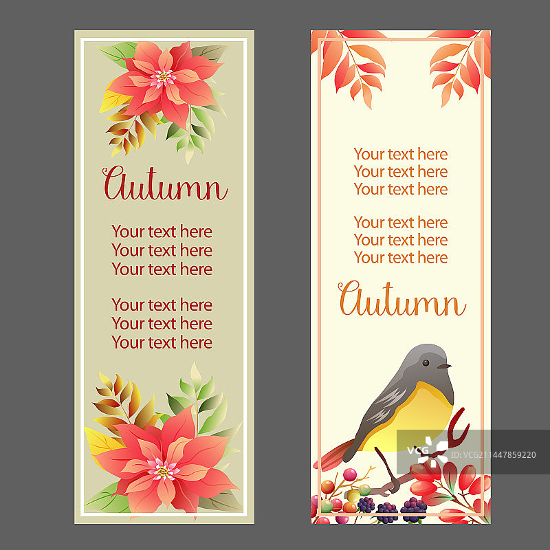 秋季鸟类一品红banner图片素材