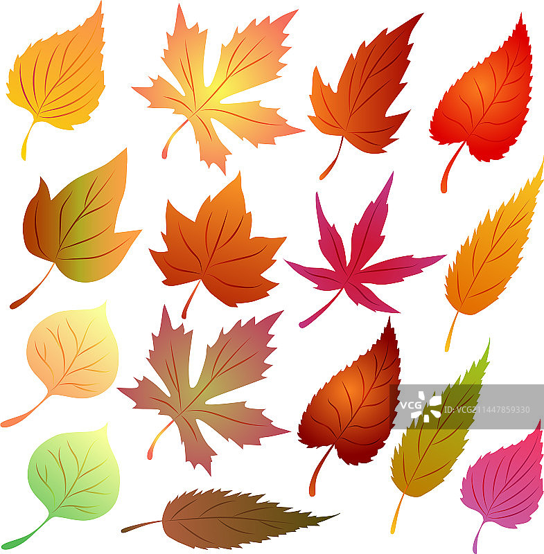 秋叶合集季节主题图片素材