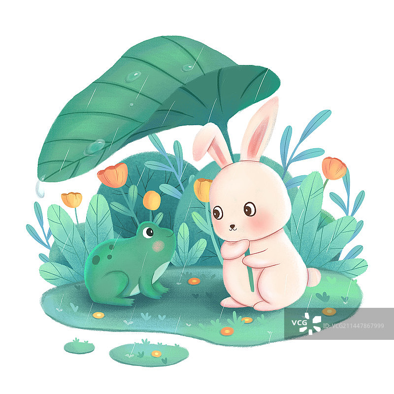 为青蛙遮雨的兔子图片素材