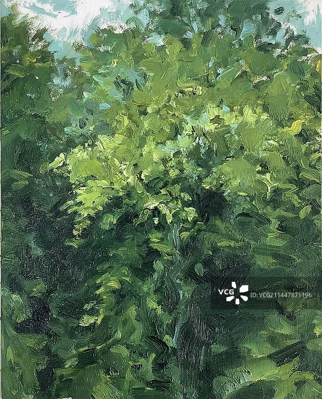 手绘油画绿色植被图片素材
