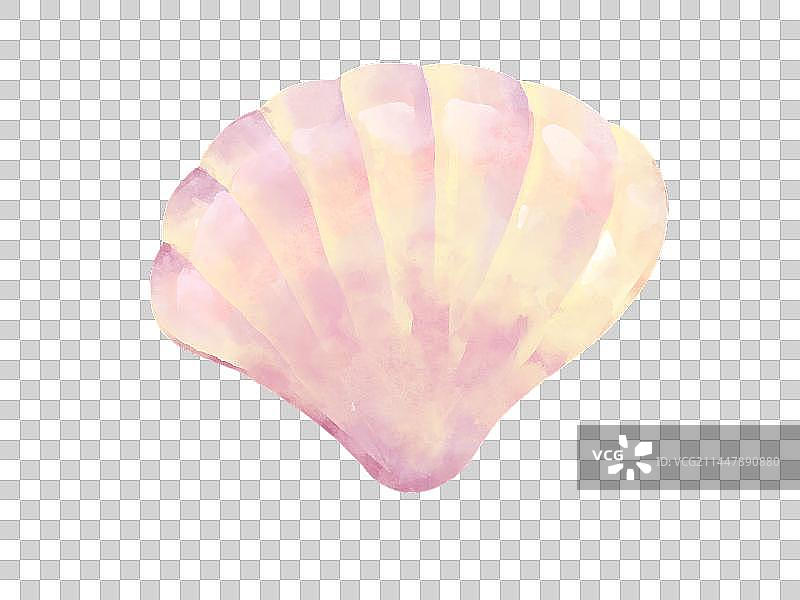 水彩手绘粉色浪漫珍珠贝壳插画元素图片素材