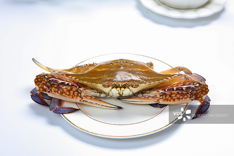 肉质鲜美的花蟹图片素材