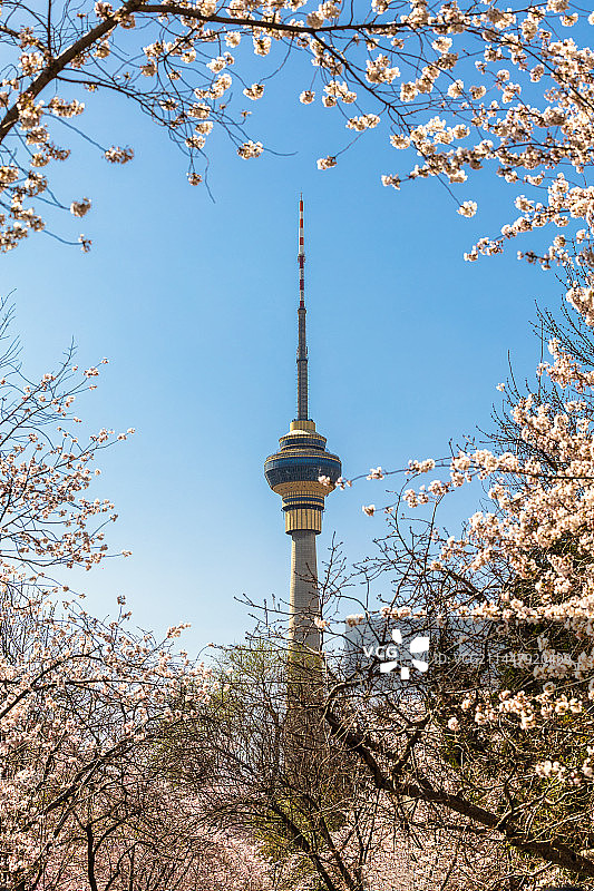 玉渊潭图片素材