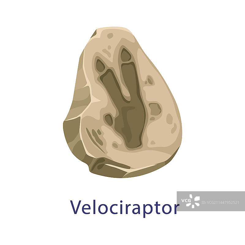 古生物博物馆的恐龙足迹化石图片素材