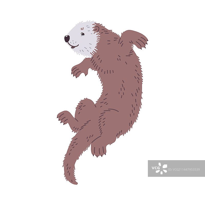 水獭：半水生食鱼哺乳动物扁平风格插画图片素材