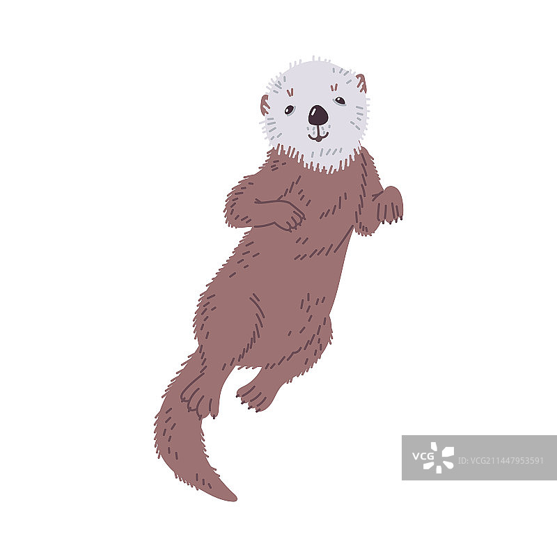 可爱的卡通海獭游泳图片素材