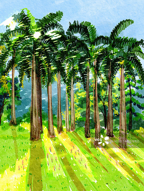 公园棕榈树椰子树阳光小树林背景插画图片素材