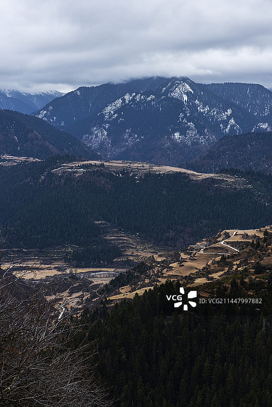 阿坝铁布梅花鹿自然保护区图片素材