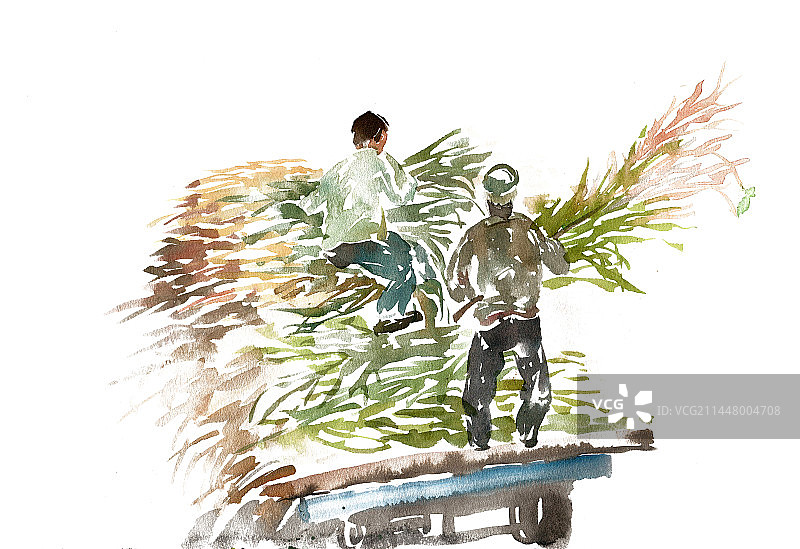 拖拉机拉玉米秸图片素材