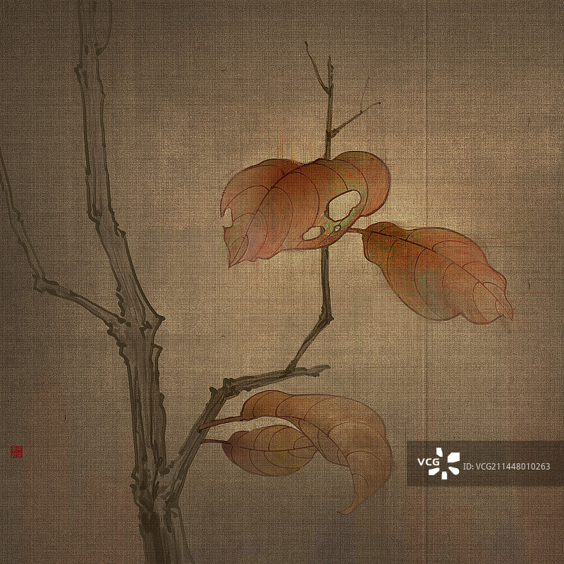 肌理红叶图片素材