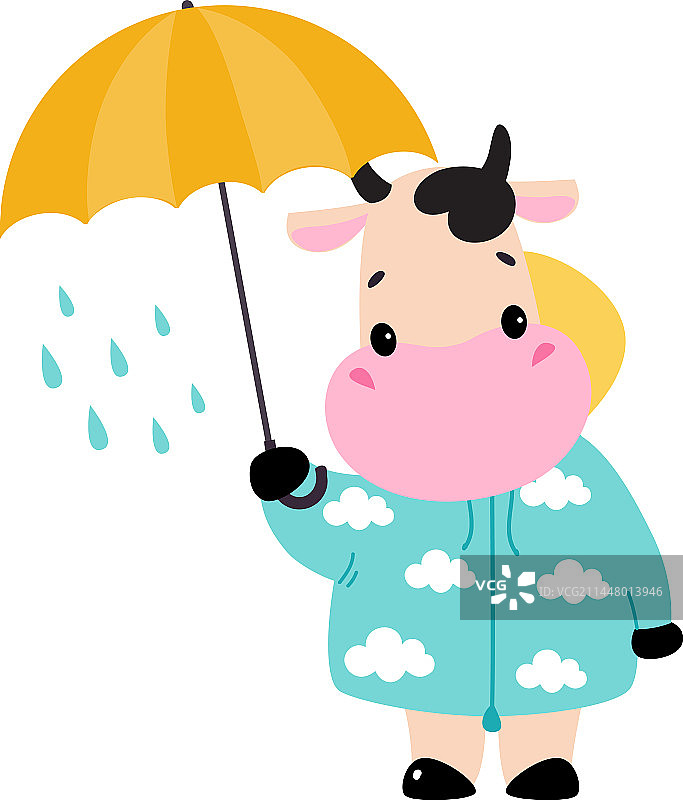 穿着雨衣在雨天行走的可爱的奶牛图片素材