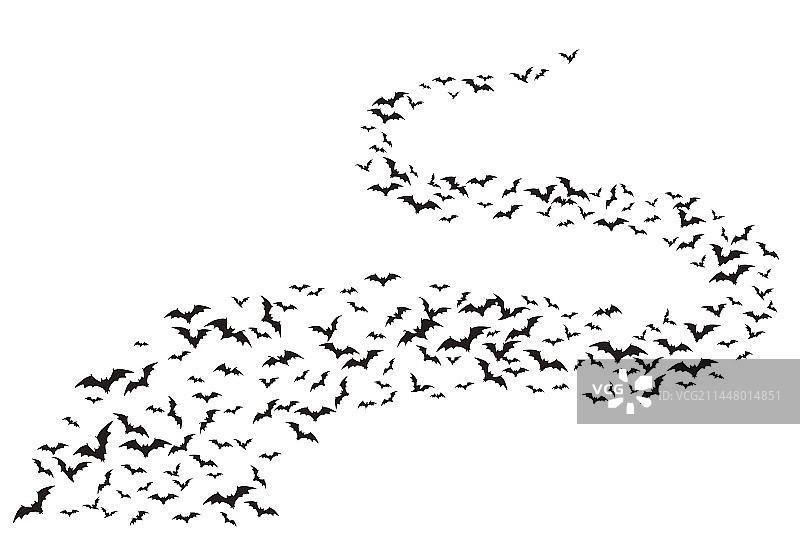万圣节飞行蝙蝠单色背景图片素材