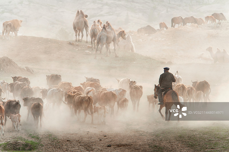牧民转场图片素材