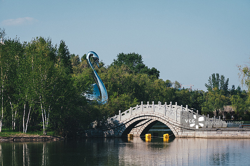 哈尔滨太阳岛风景区天鹅雕塑与湖中小桥图片素材