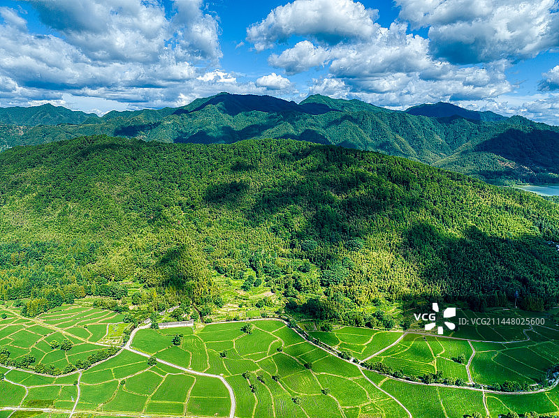 黄山市黟县宏村的山河稻田图片素材