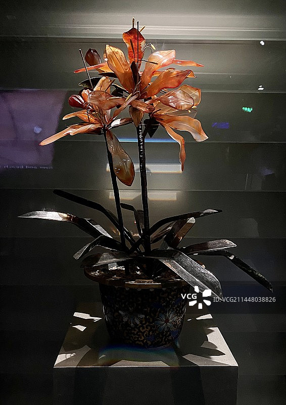 中国地质博物馆展品图片素材