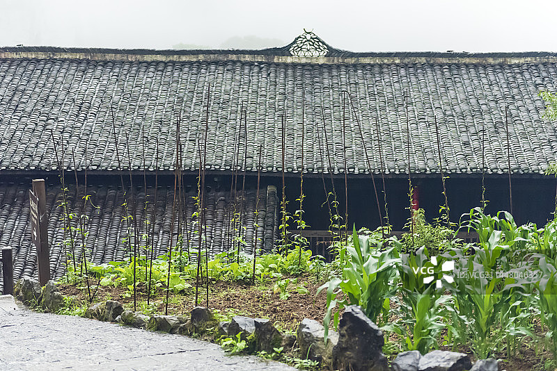 重庆武隆天坑寨子的苗寨和农田图片素材