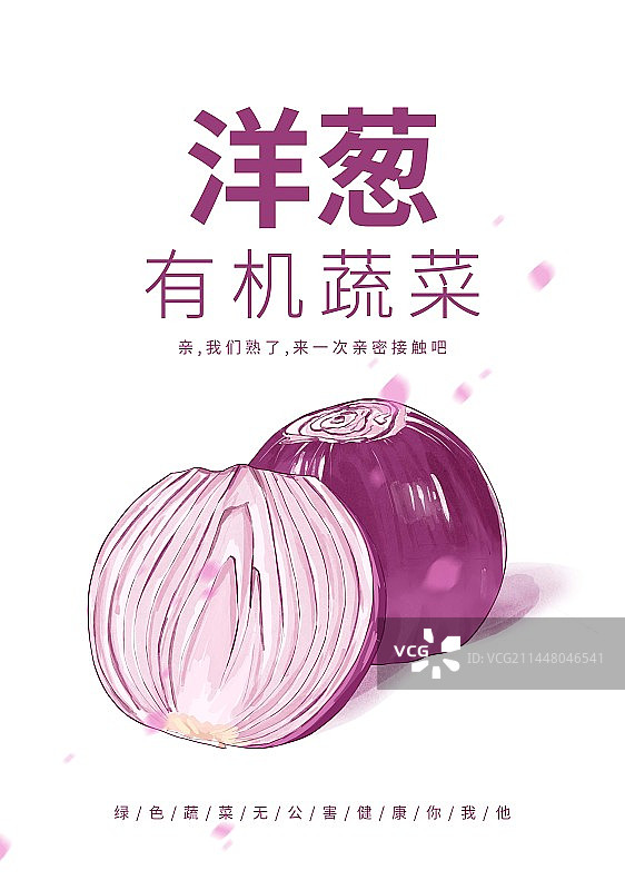 霜降节气蔬菜插画洋葱海报设计图片素材