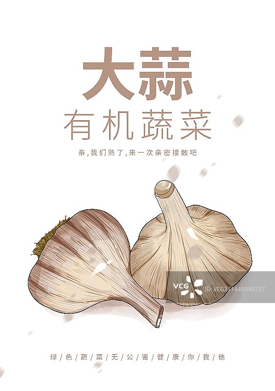 寒露节气蔬菜大蒜插画设计海报图片素材