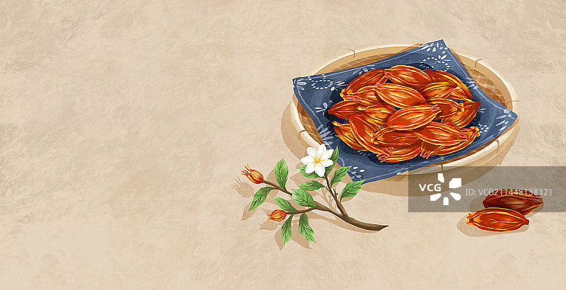 中国传统文化中草药药材之栀子图片素材