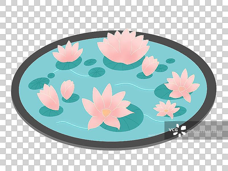 水塘 荷花图片素材