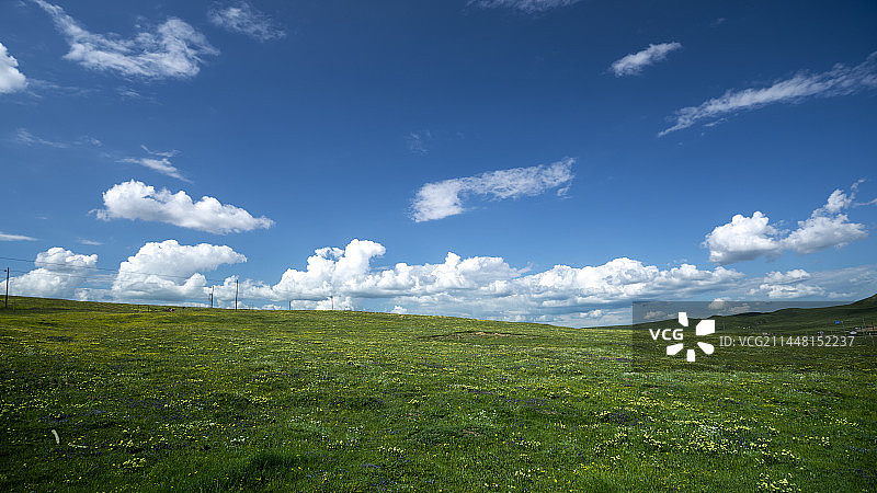 青海黄南泽库草原图片素材