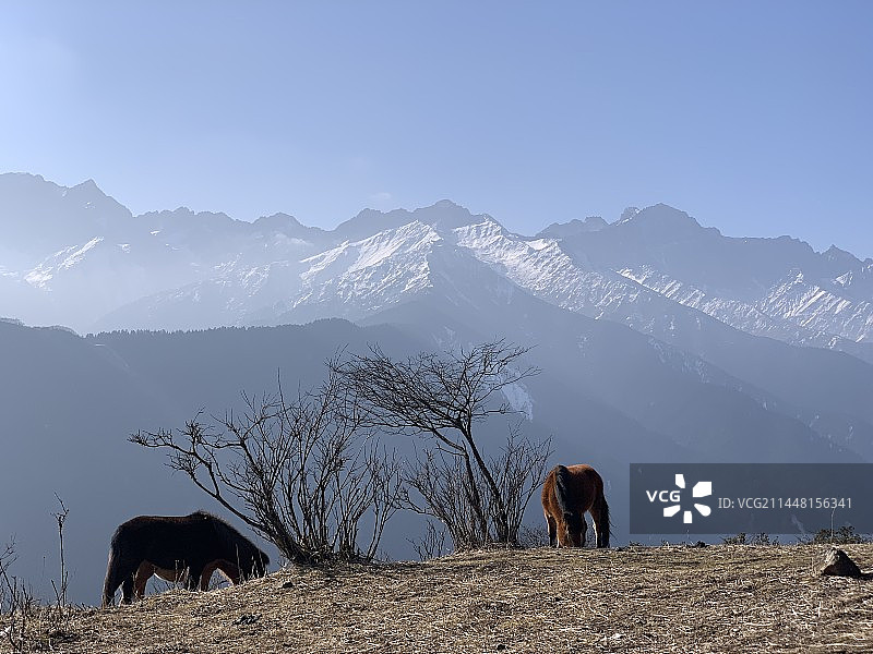 终南阴岭秀，积雪浮云端图片素材