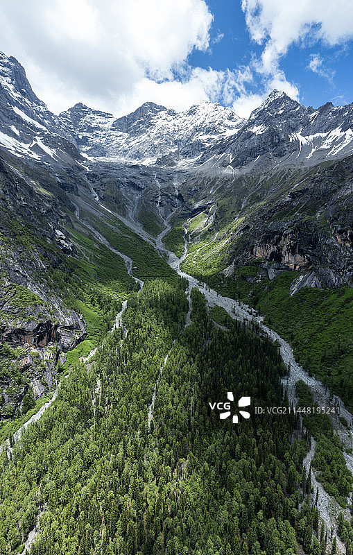 双桥沟森林图片素材