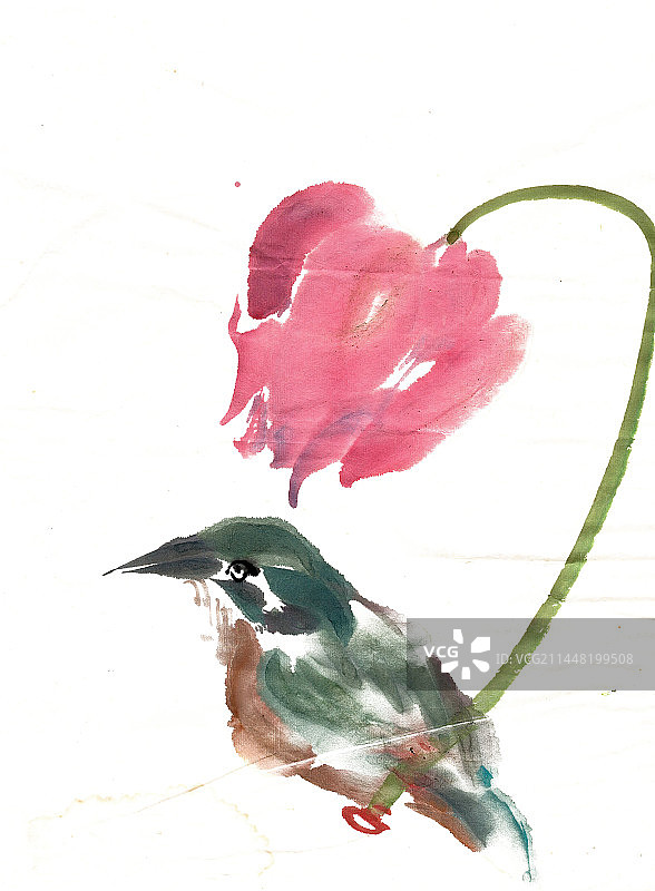 荷花下的翠鸟图片素材