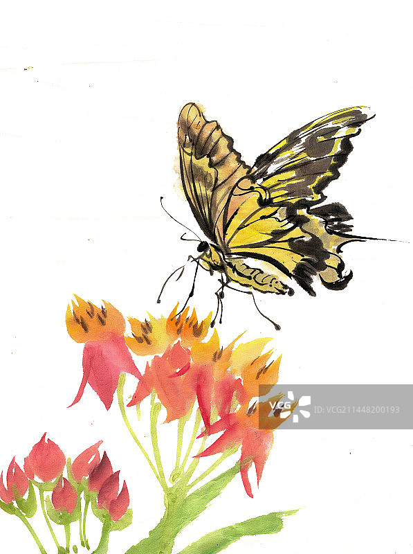 鲜花与蝴蝶图片素材