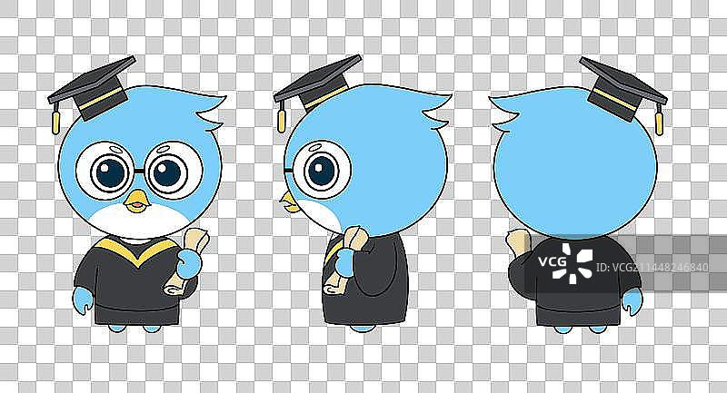 卡通可爱燕子小鸟吉祥物穿着学士服三视图插画图片素材