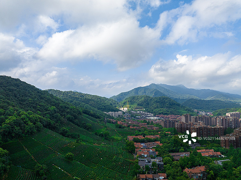 航拍杭州西湖龙井茶园图片素材