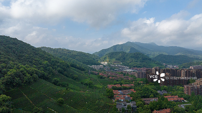 航拍杭州西湖龙井茶园图片素材