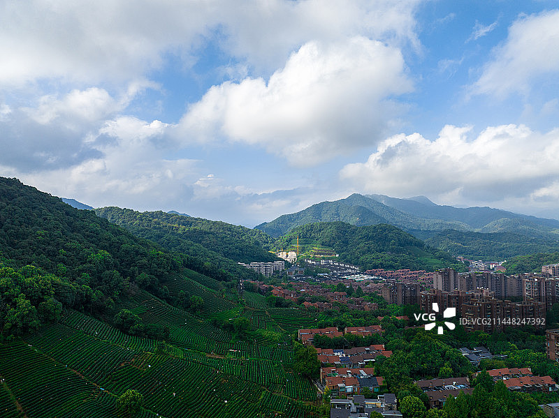 航拍杭州西湖龙井茶园图片素材