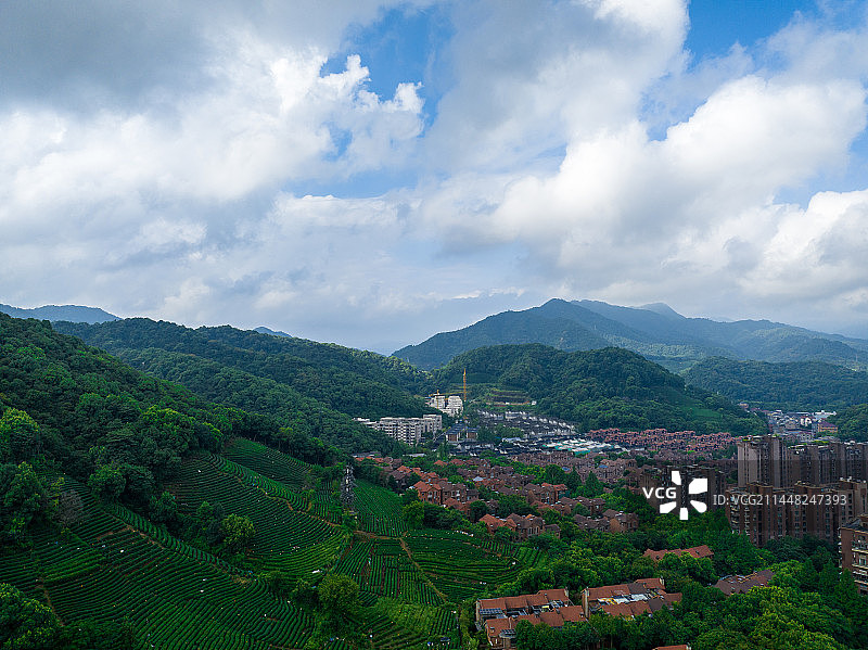 航拍杭州西湖龙井茶园图片素材