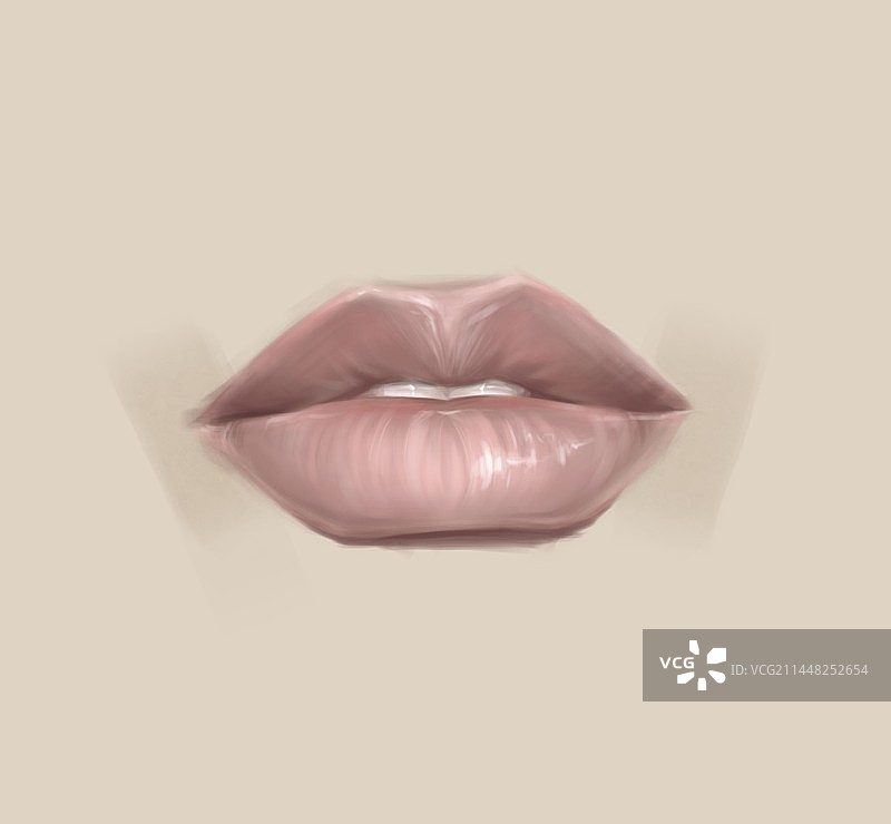 人物头像-厚涂和插画-物体动物图片素材