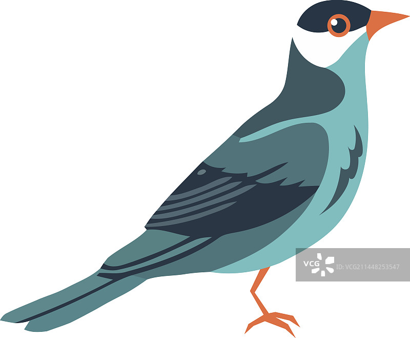 可爱的卡通小鸟自然美景图片素材