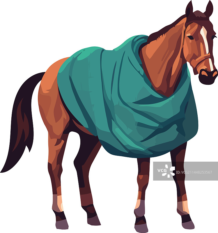 冬季里可爱的小马驹图片素材