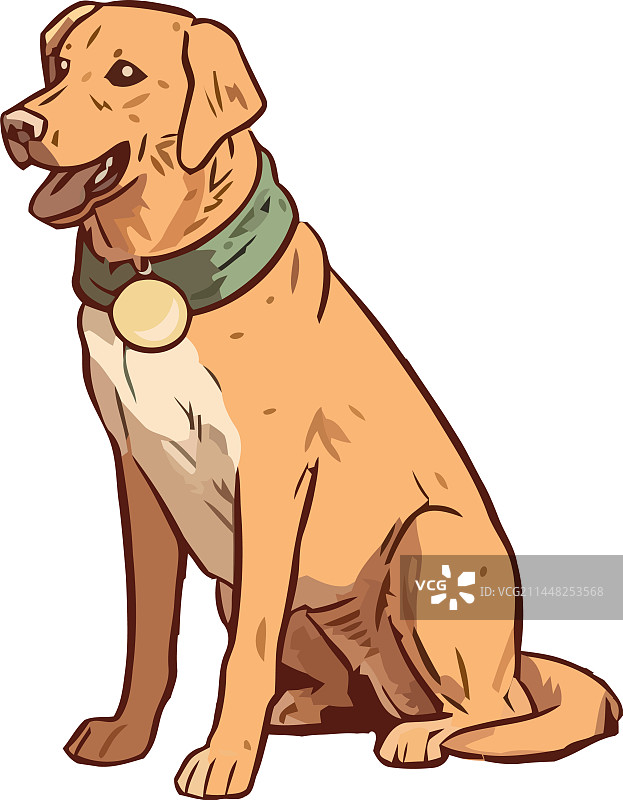 小狗和忠诚的拉布拉多犬朋友坐着观看图片素材