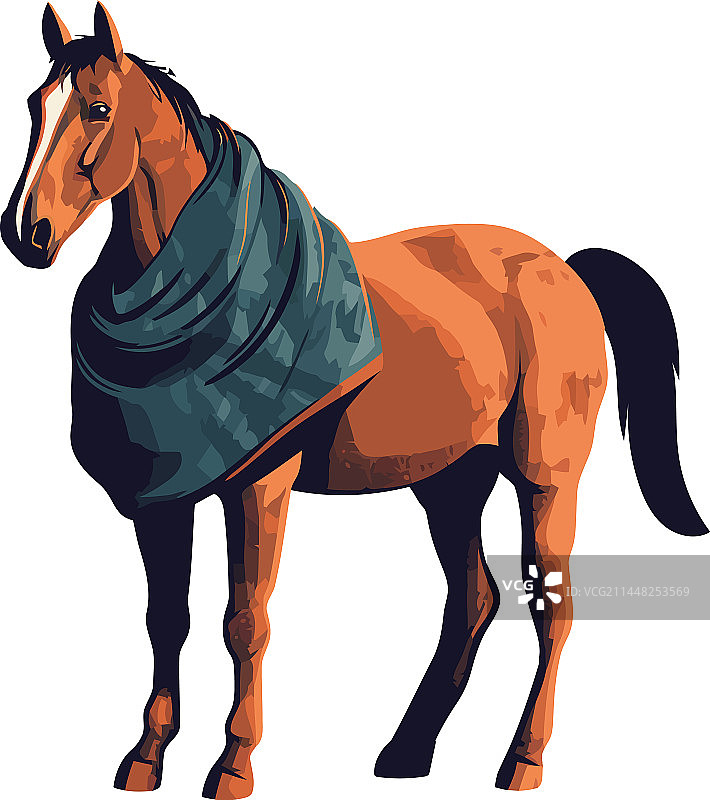 冬季马术中的骏马图片素材