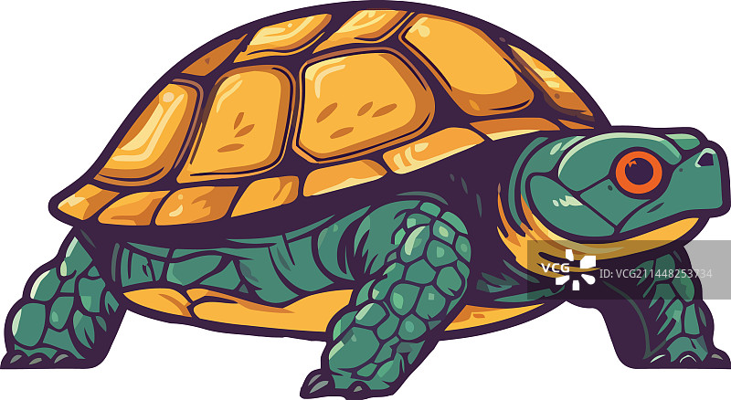 慢步爬行的可爱乌龟图片素材