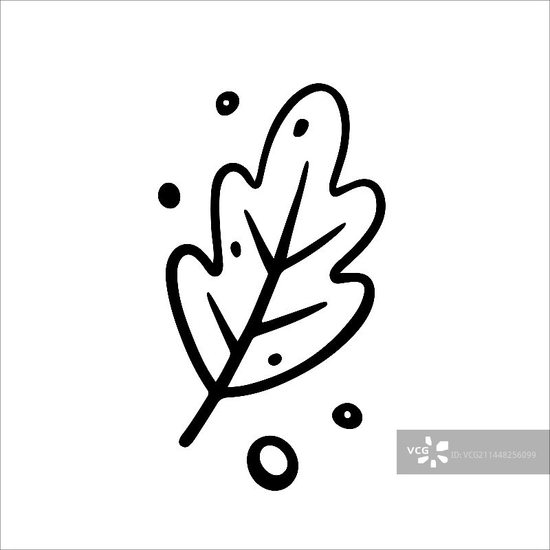 手绘橡树叶秋叶图片素材