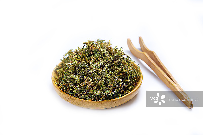 中药材伸筋草图片素材