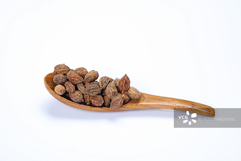 中药益智仁图片素材